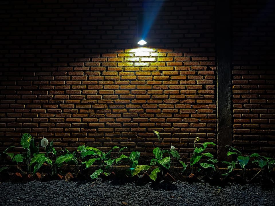 Night, Garden view