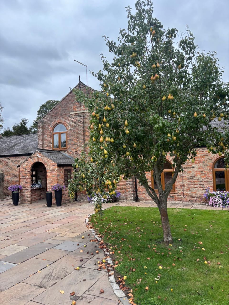 Property building, Garden, Autumn, Garden view