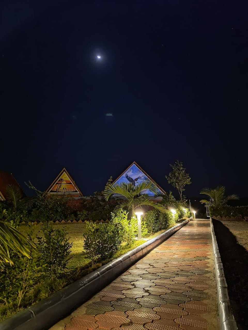 Night