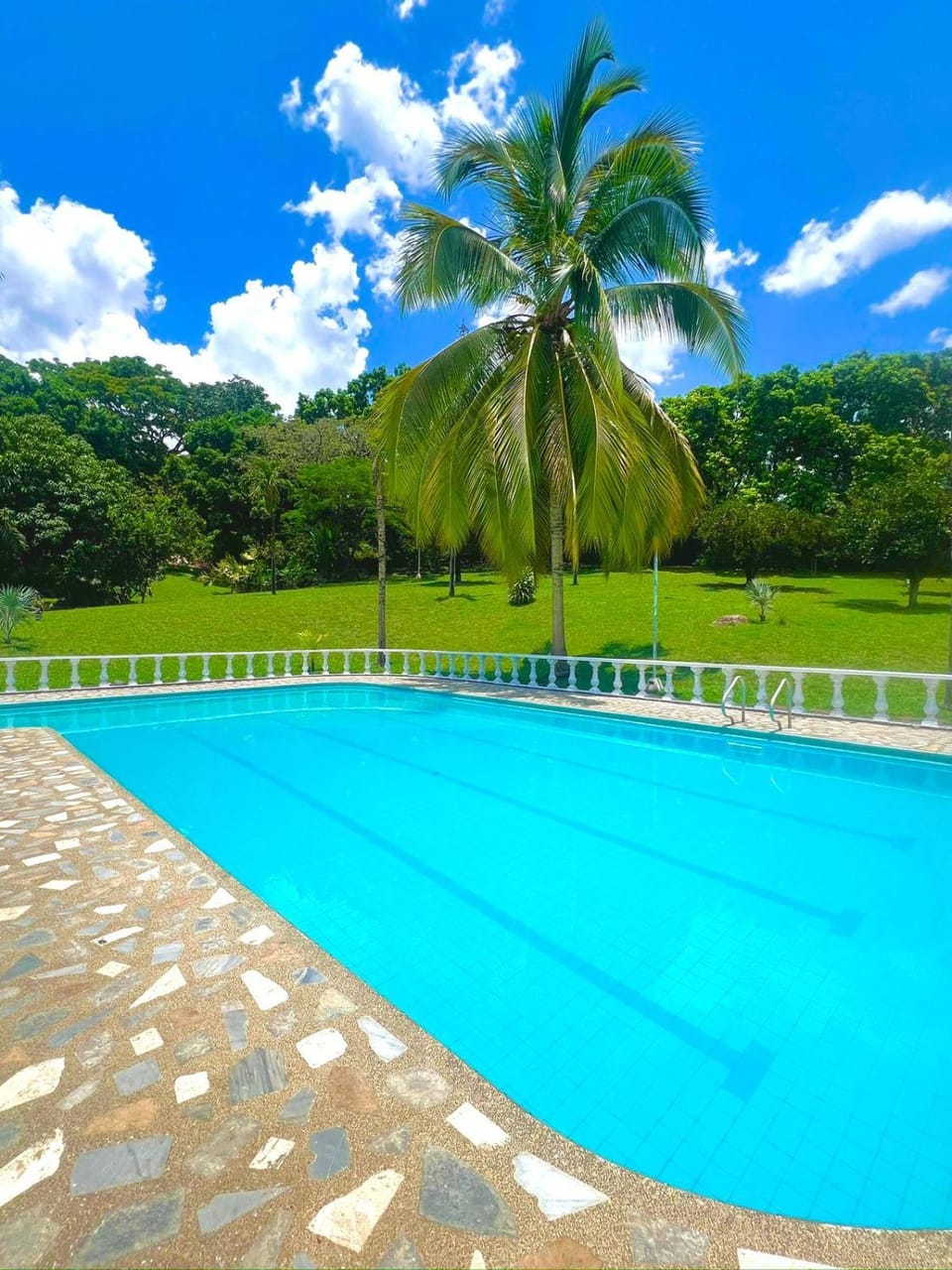 Day, Natural landscape, Garden, Garden view, Pool view, Swimming pool, sunbed