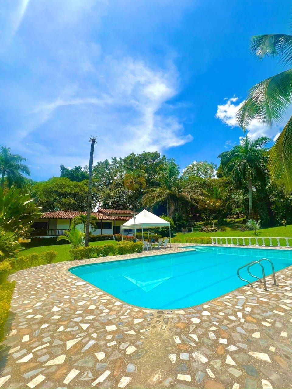 Spring, Day, Natural landscape, Garden, Garden view, Pool view, Swimming pool, sunbed