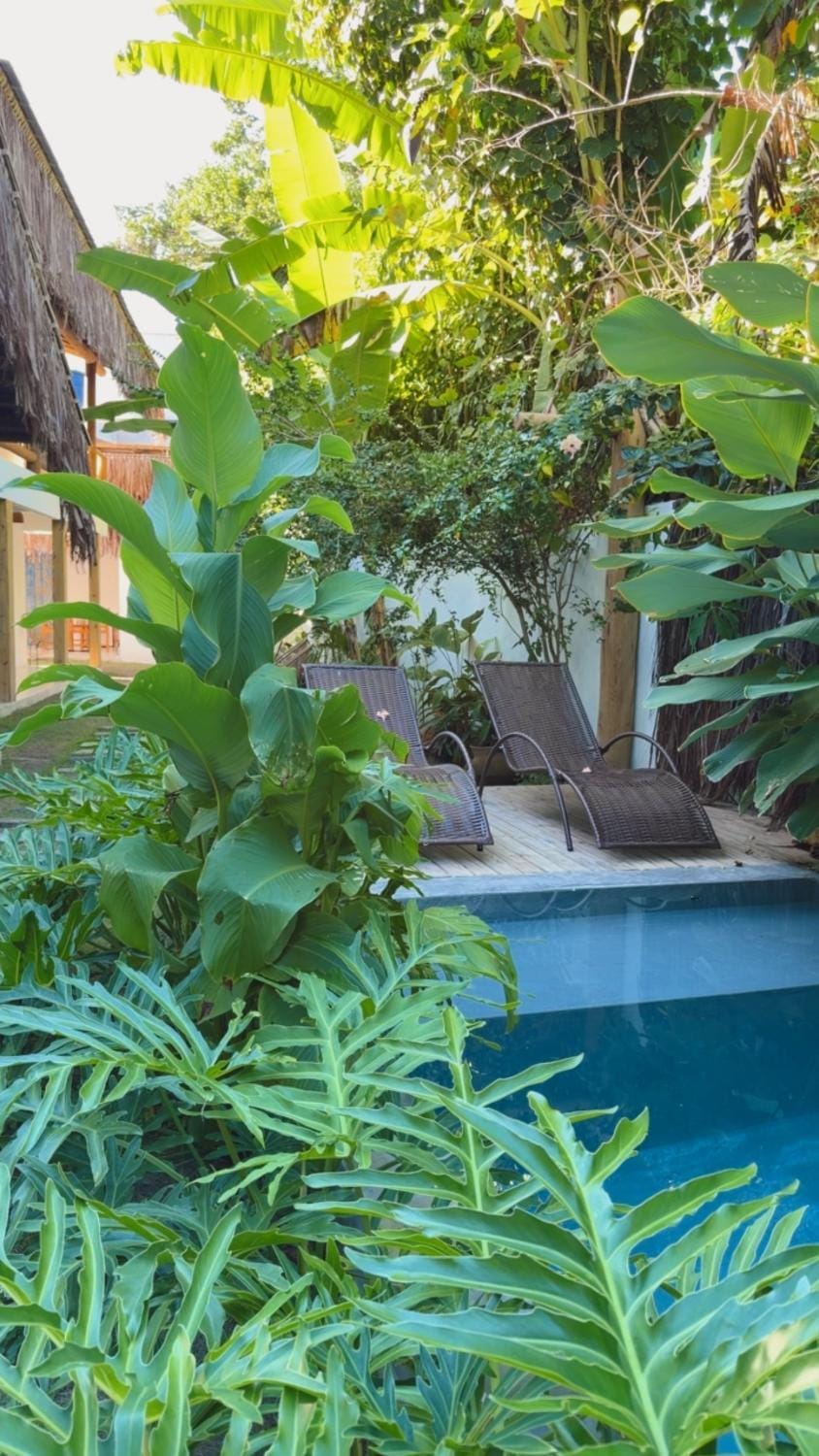 Garden, Garden view, Pool view, Swimming pool