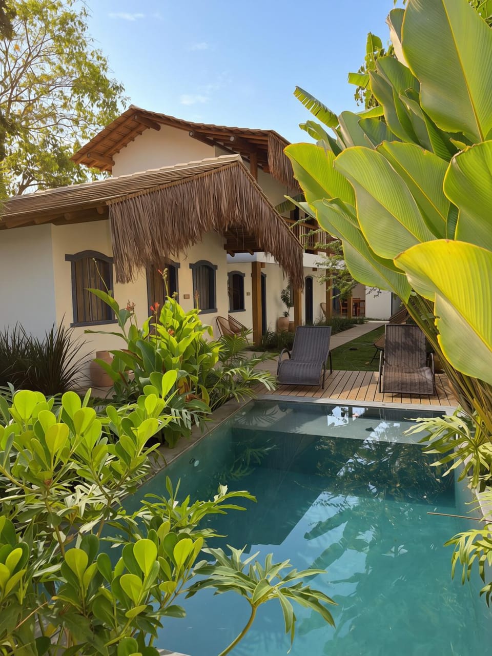 Garden, Garden view, Pool view, Swimming pool