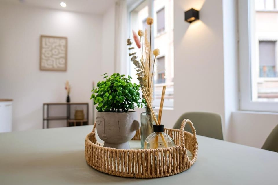 Le Chenavard I-hyper centre-Central air conditioning Apartment in Lyon