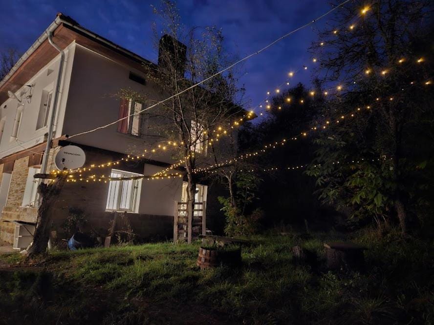 Night, Garden