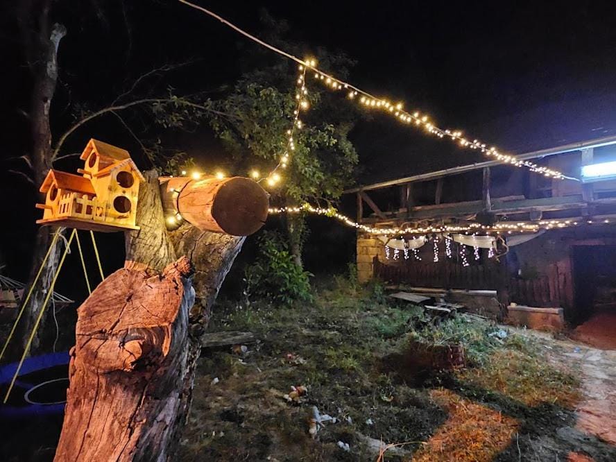 Night, Garden