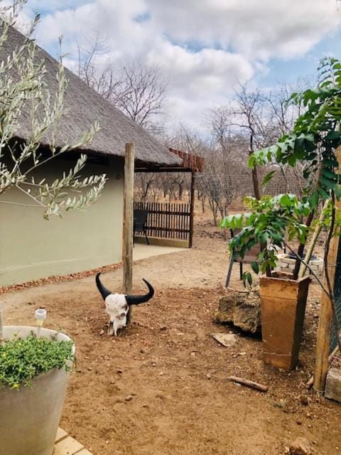 NIANI HYENA chalet Chalet in South Africa