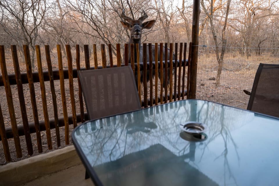 NIANI HYENA chalet Chalet in South Africa