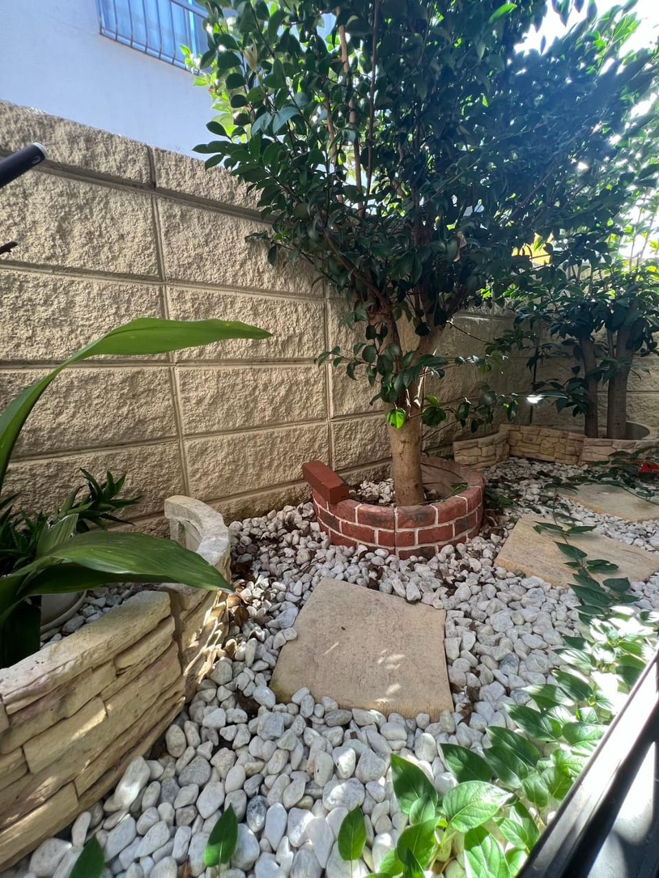 View (from property/room), Garden view