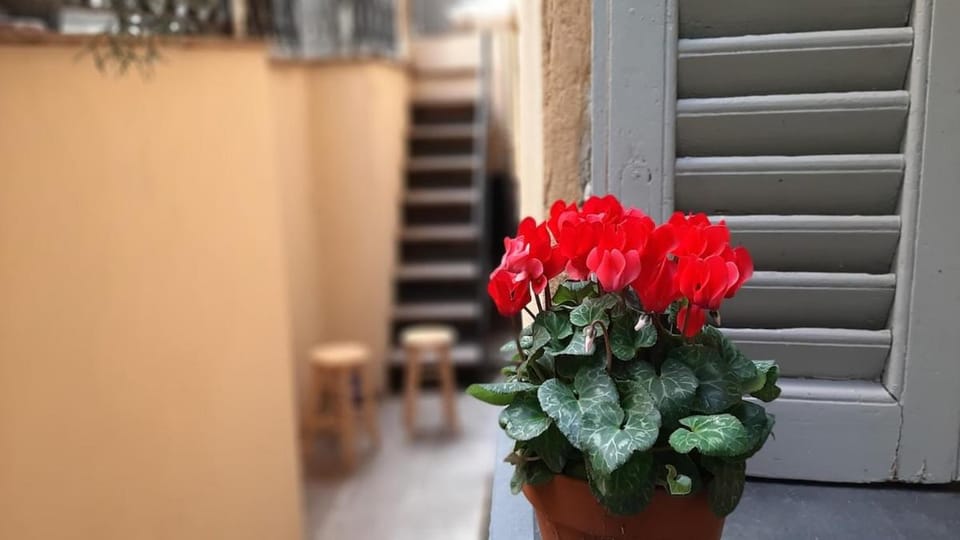Experience Genoa-Traditional Home in Castelletto Apartment in Genoa