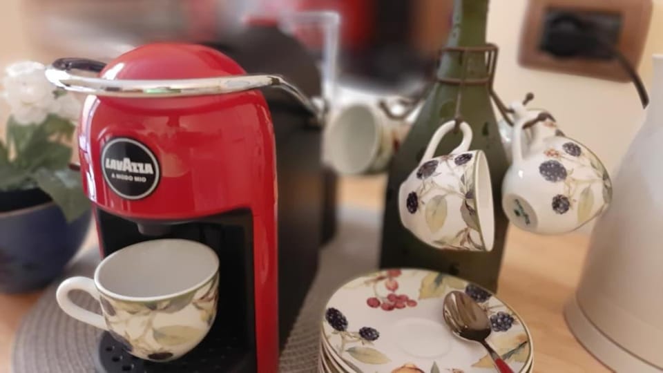 Experience Genoa-Traditional Home in Castelletto Apartment in Genoa
