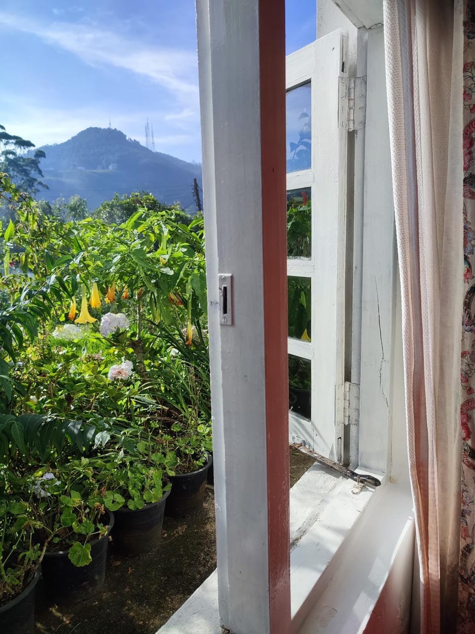 Day, Natural landscape, Garden view, Mountain view