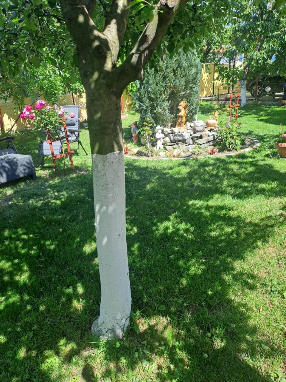 Casa Dana Bed and Breakfast in Serbia