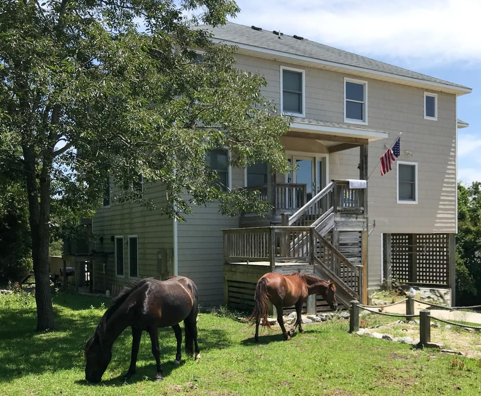 Leap of Faith - 4x4 Carova Beach, Canalfront, Private Dock, Pool, Hot Tub, Flex Stays House in Carova Beach
