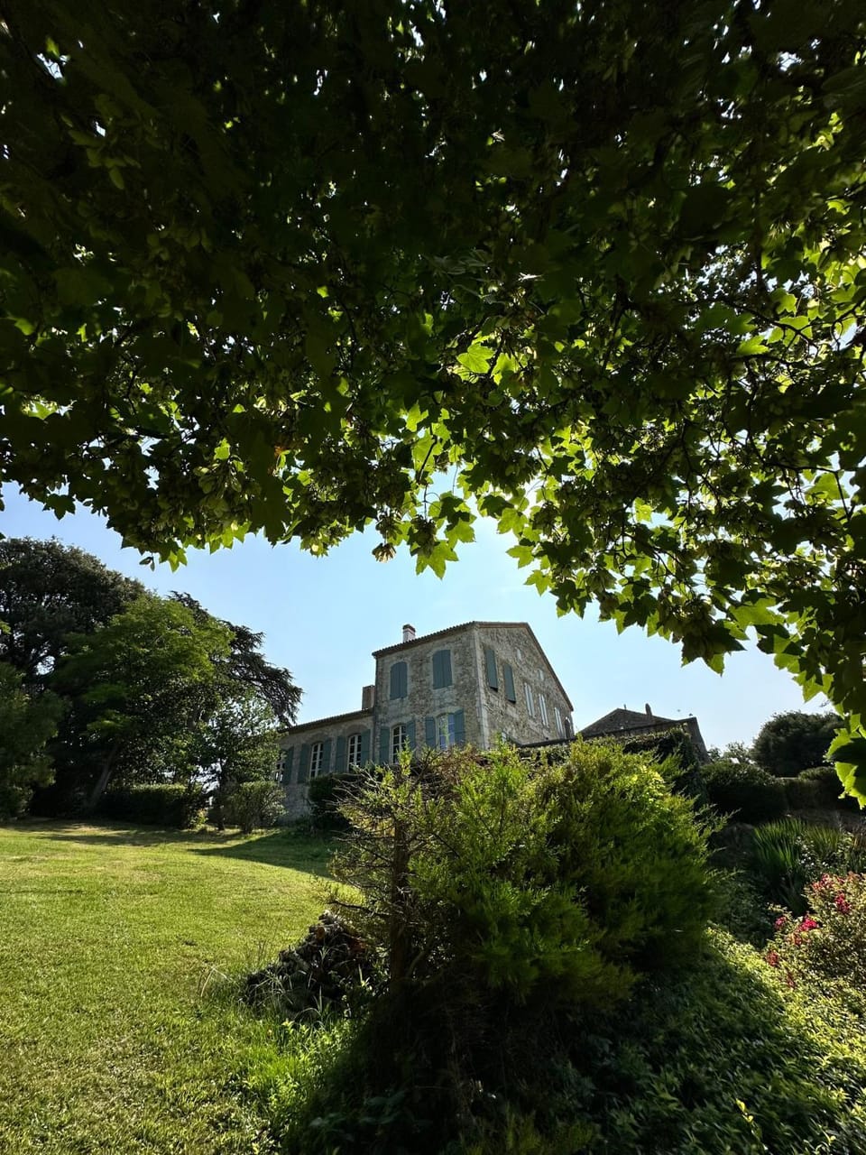 CHÂTEAU de CAMPANES Bed and Breakfast in Occitanie