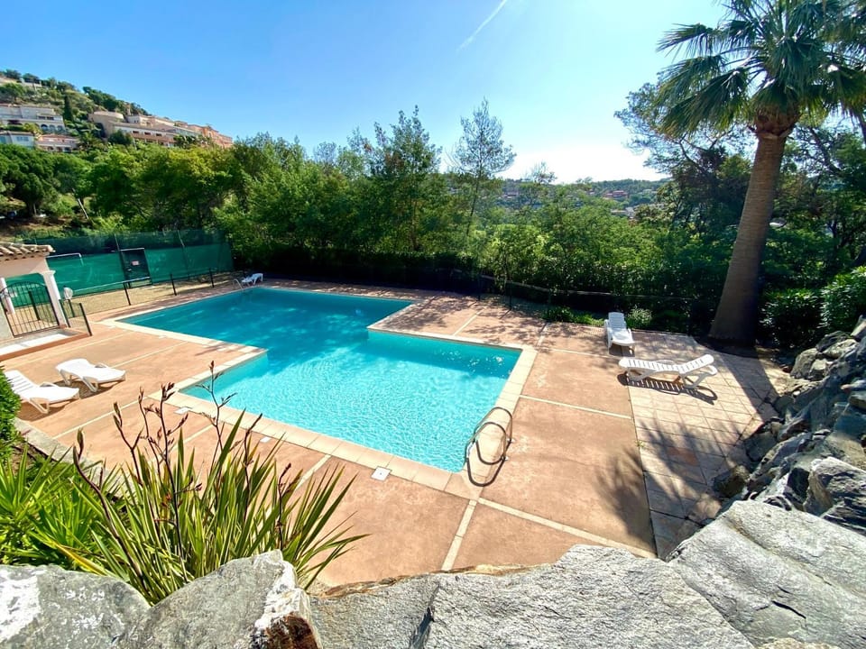 Swimming pool, sunbed