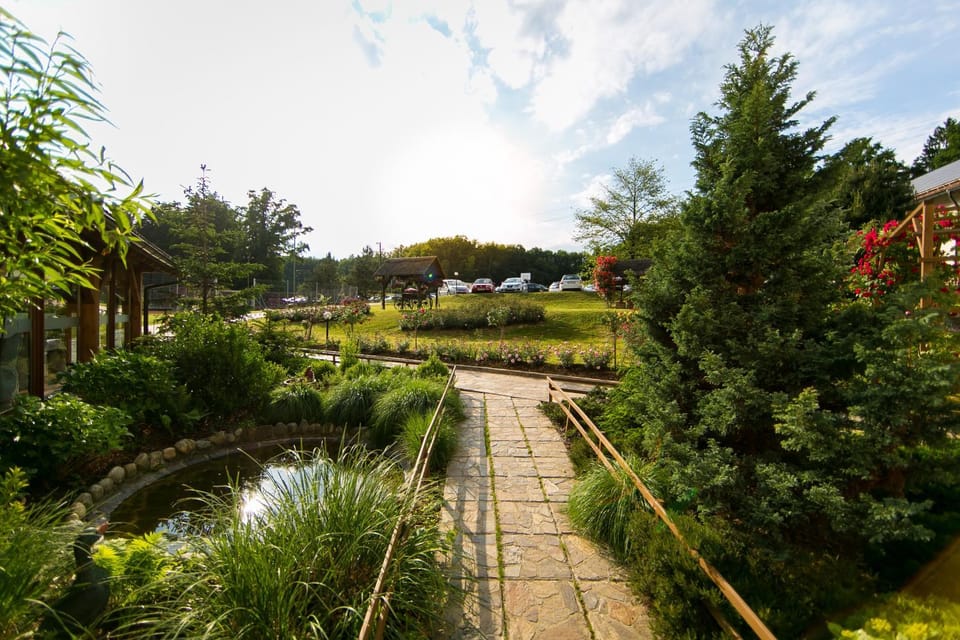 Natural landscape, Summer, Garden, On site, Garden view