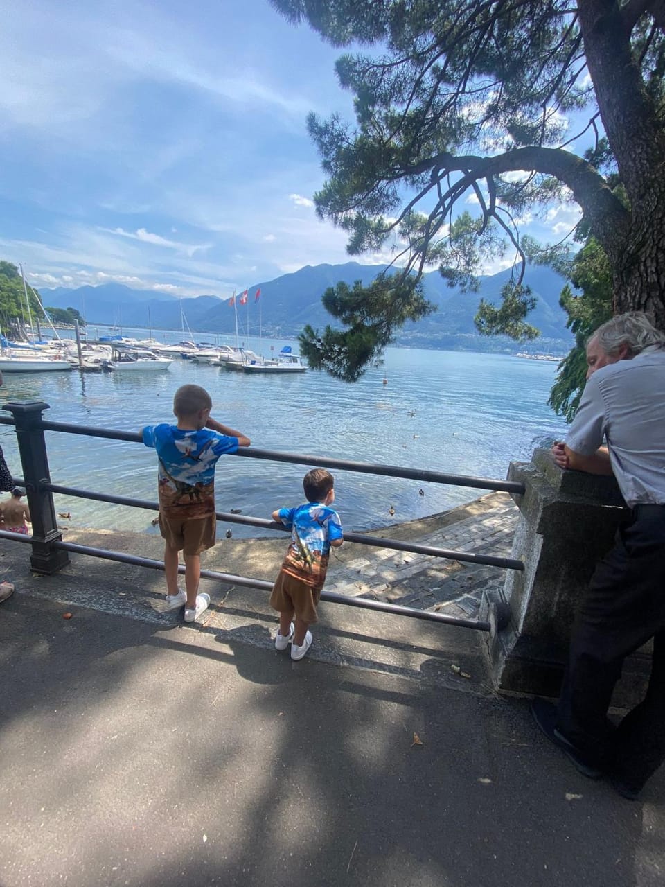 Casa Camelia Apartment in Canton of Ticino