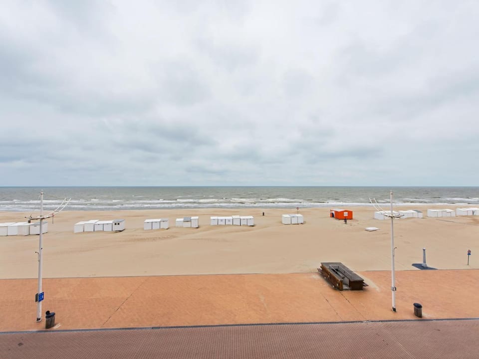 Summer, View (from property/room)