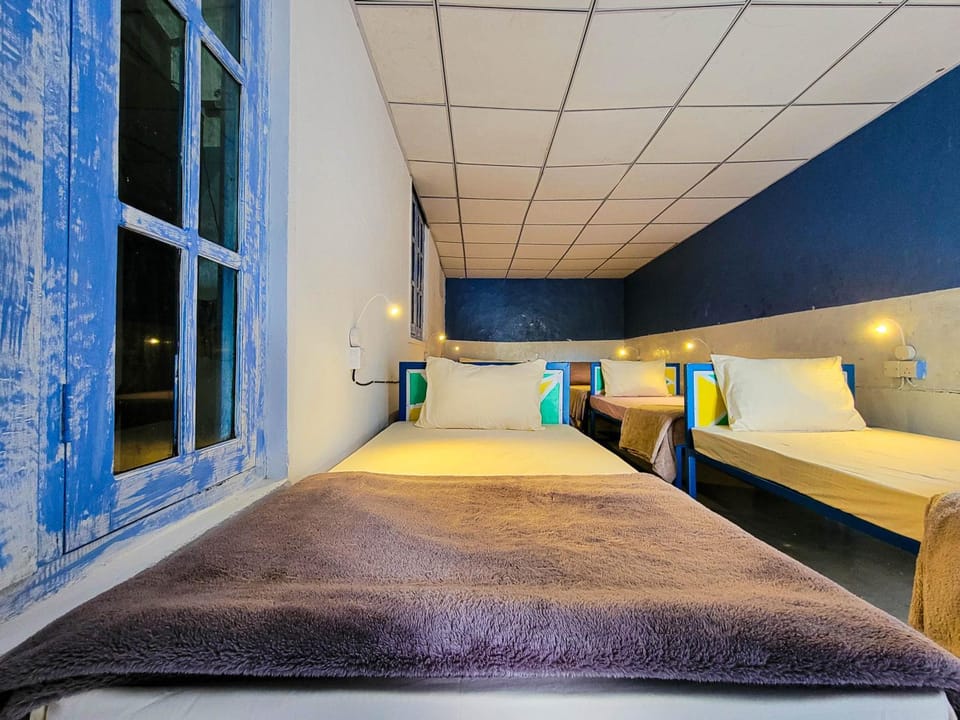Bed, Photo of the whole room, Bedroom, bunk bed