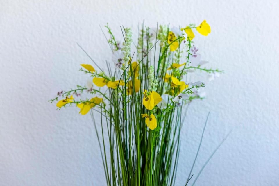 Le Lahitolle Apartment in Bourges