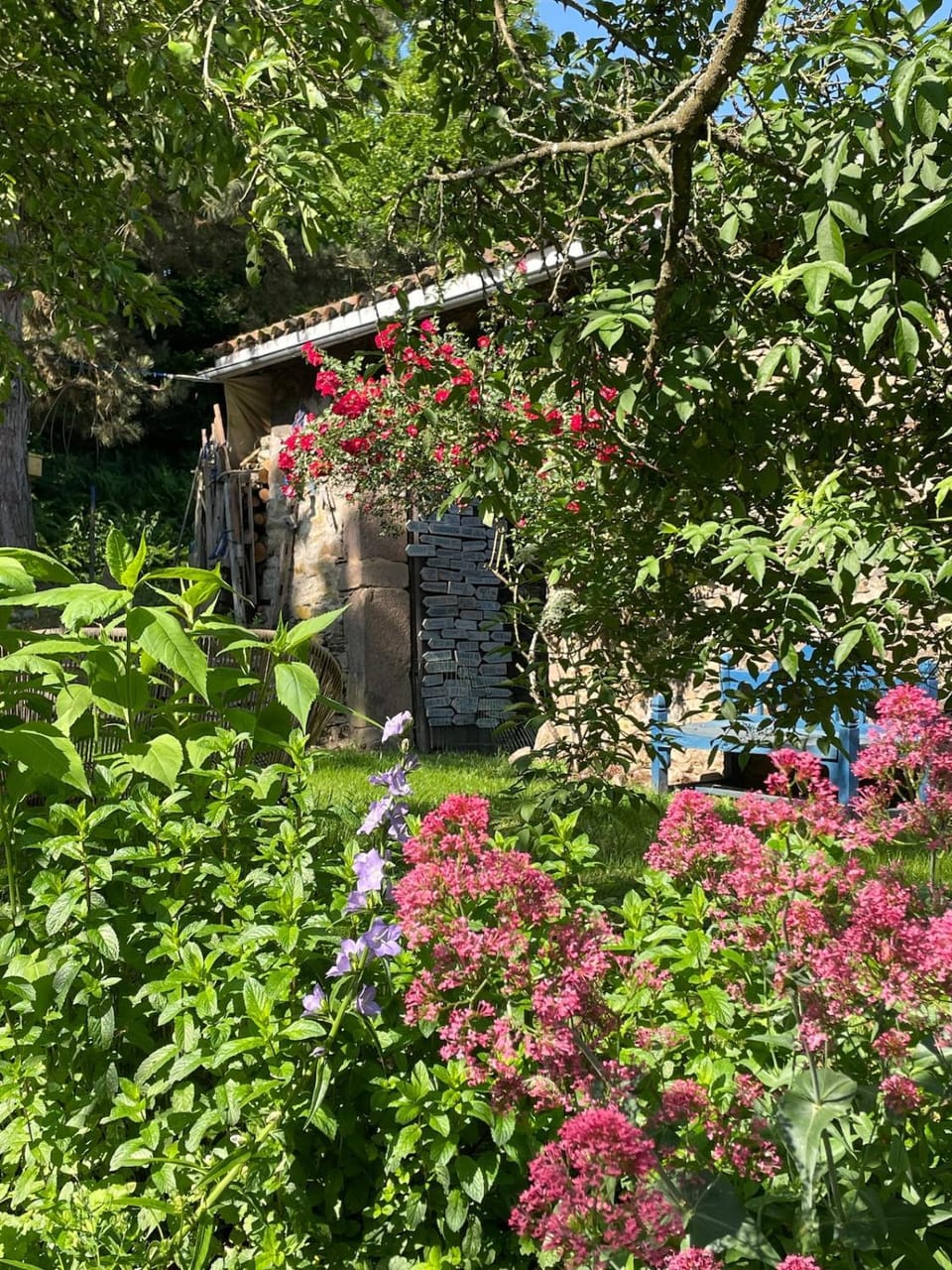 Authentic & charming dans les Monts du Lyonnais, animaux acceptés Bed and Breakfast in Auvergne-Rhône-Alpes