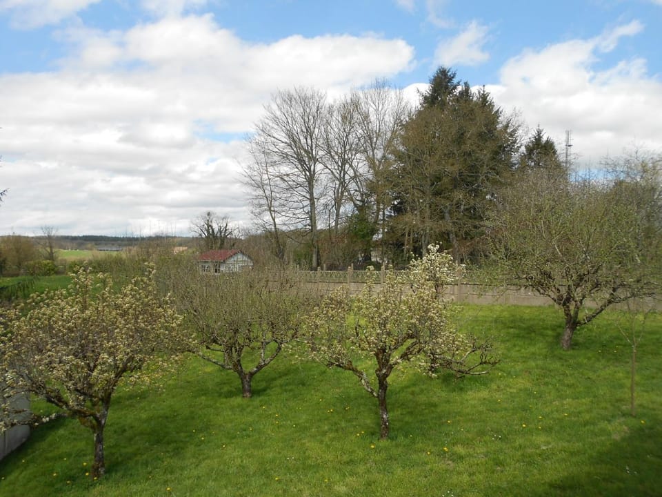 Garden, Garden view