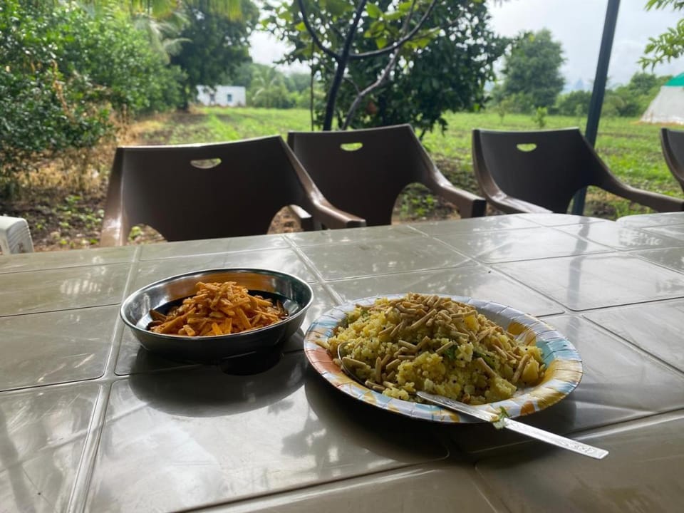 Day, Food and drinks, Garden view, Lunch