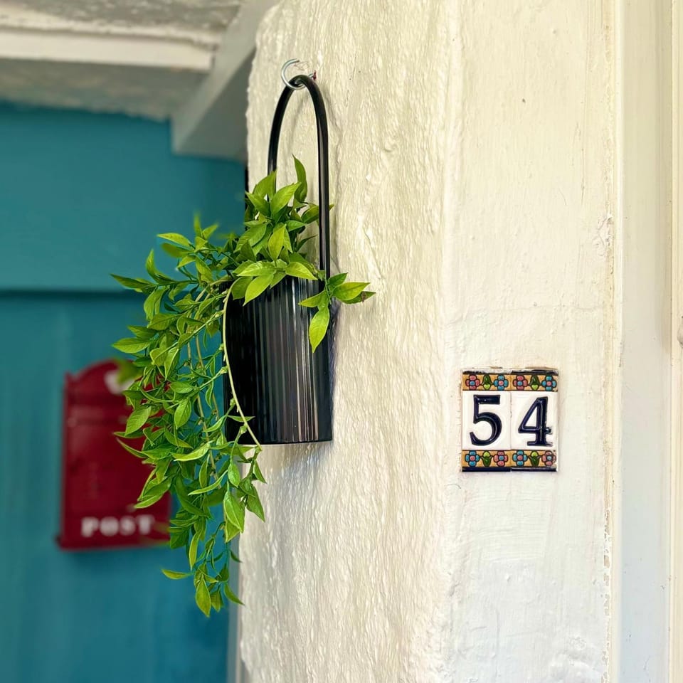 Turtle retreat Apartment in Falmouth