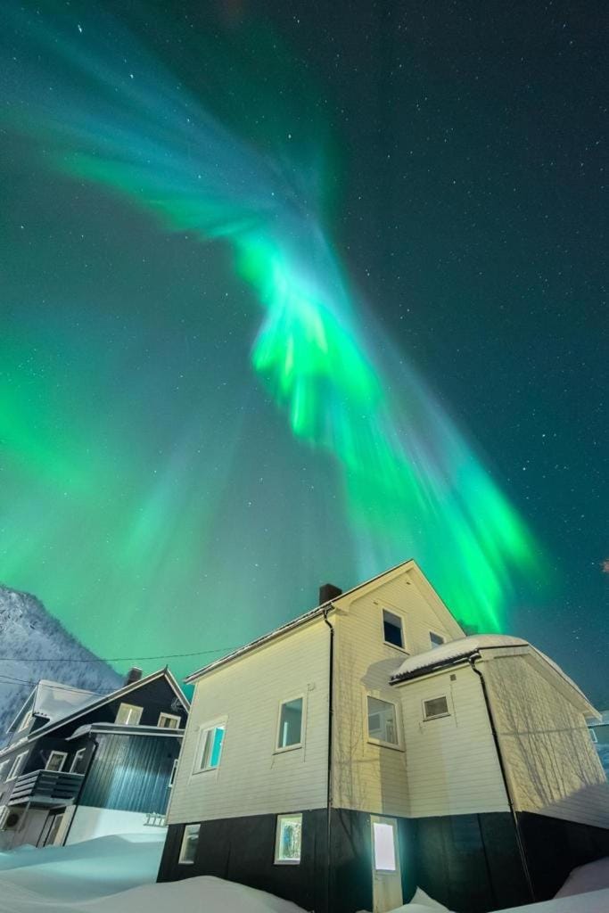 Aurora Boutique Hut with private sauna House in Nordland, Norway