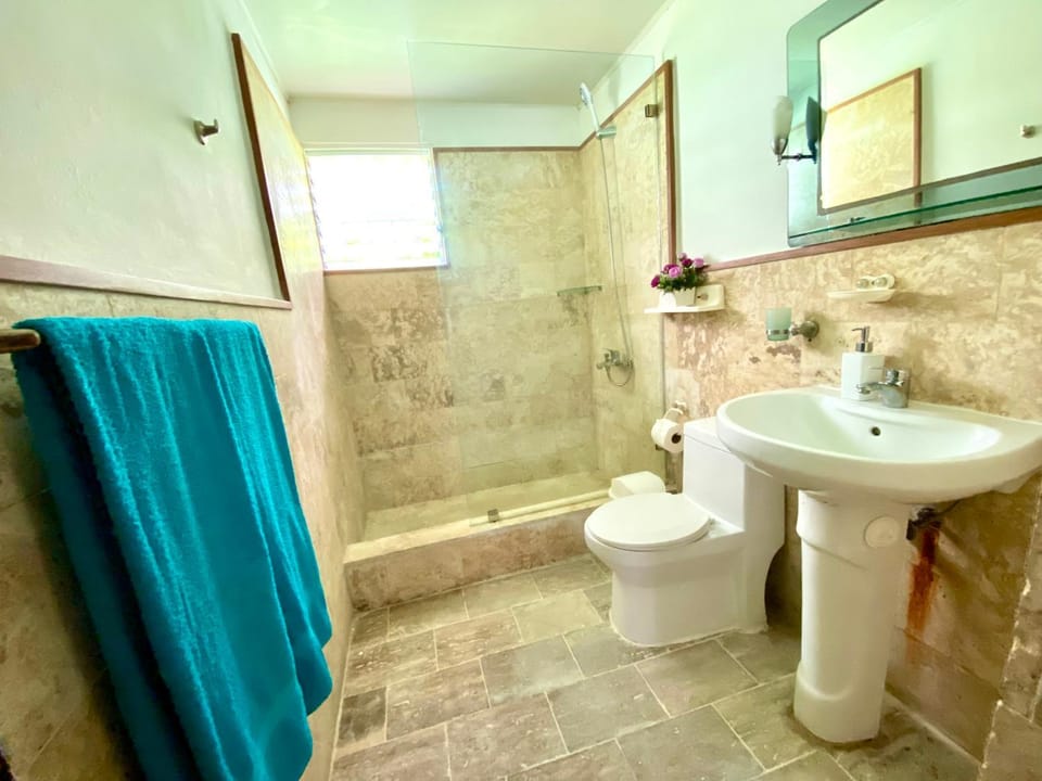 Shower, Toilet, Bathroom, Bath, bidet, towels