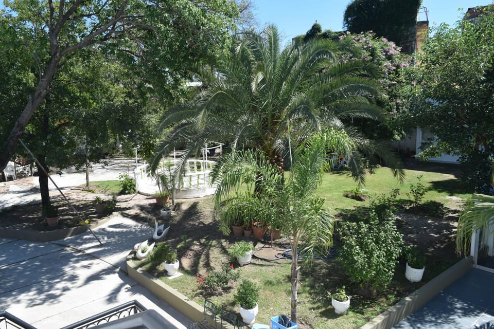 Garden view