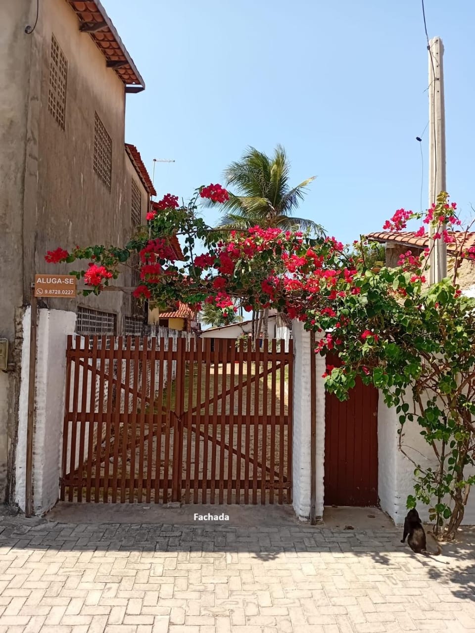 Property building, Facade/entrance