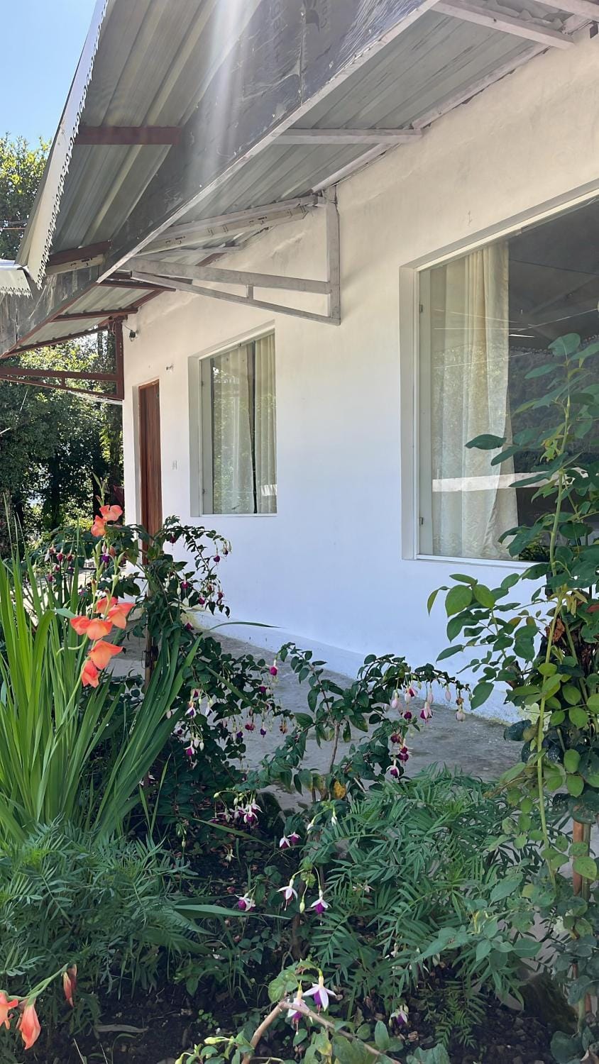 Property building, Spring, Garden, Garden view