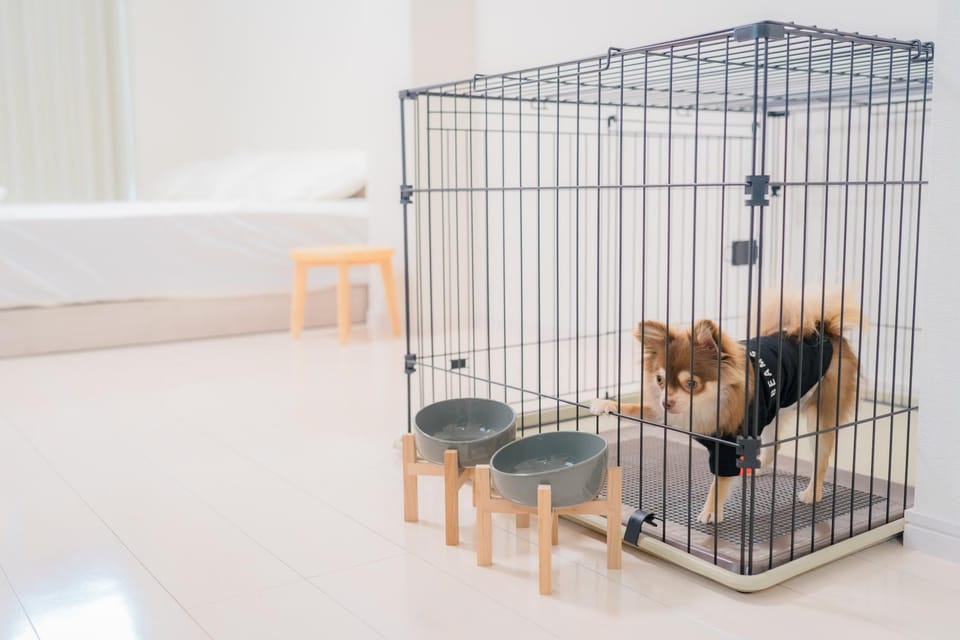 Pets, pet friendly