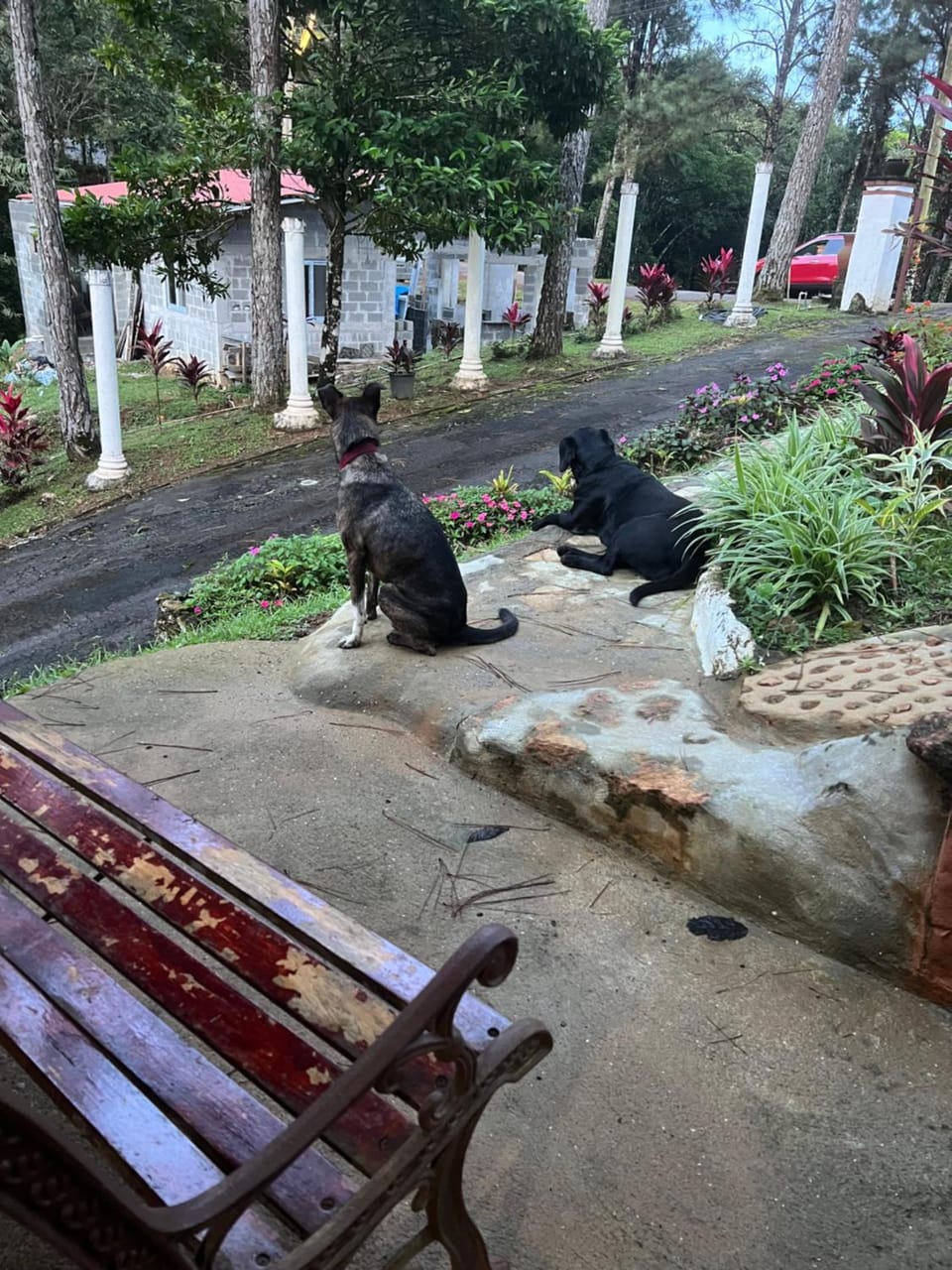 La Cabañita House in Panama City, Panama