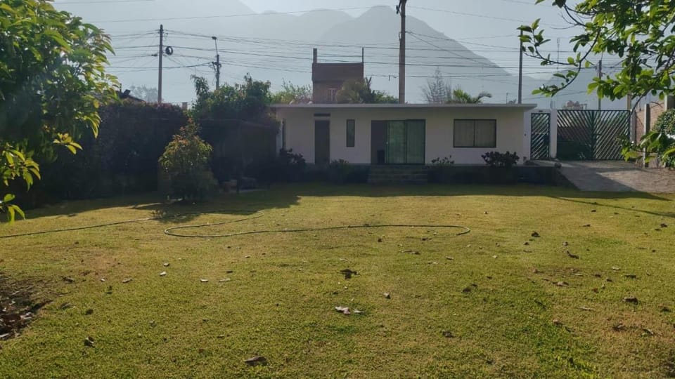 Property building, Day, Garden
