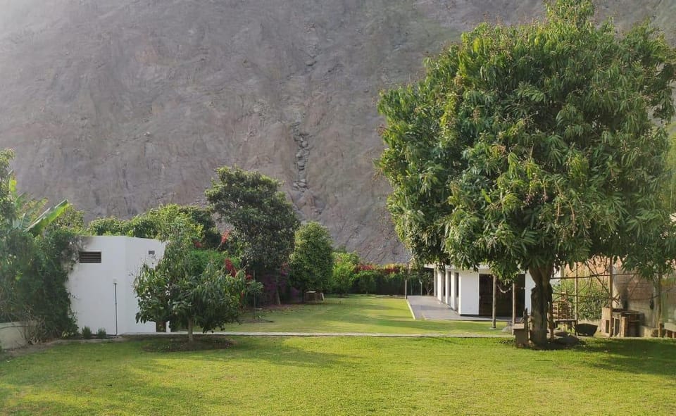 Day, Garden, Garden view, Mountain view