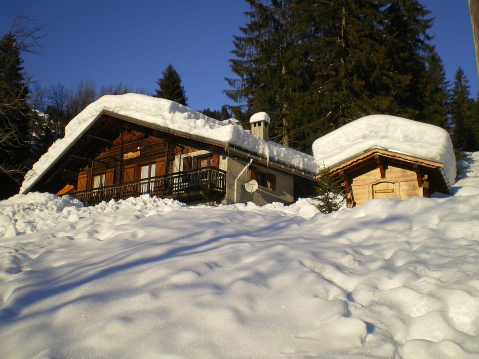 Property building, Day, Winter, Pets