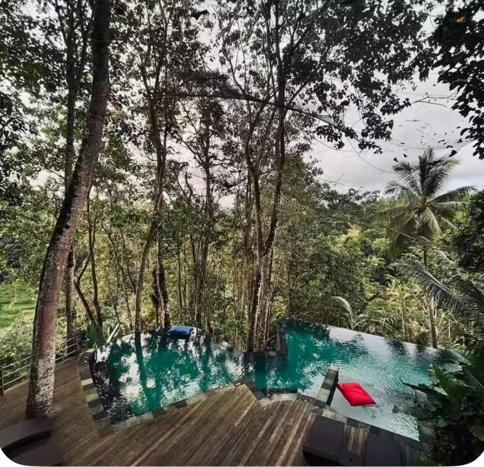 Balcony/Terrace, Swimming pool