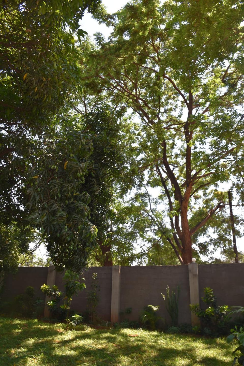 Natural landscape, Garden, Garden view