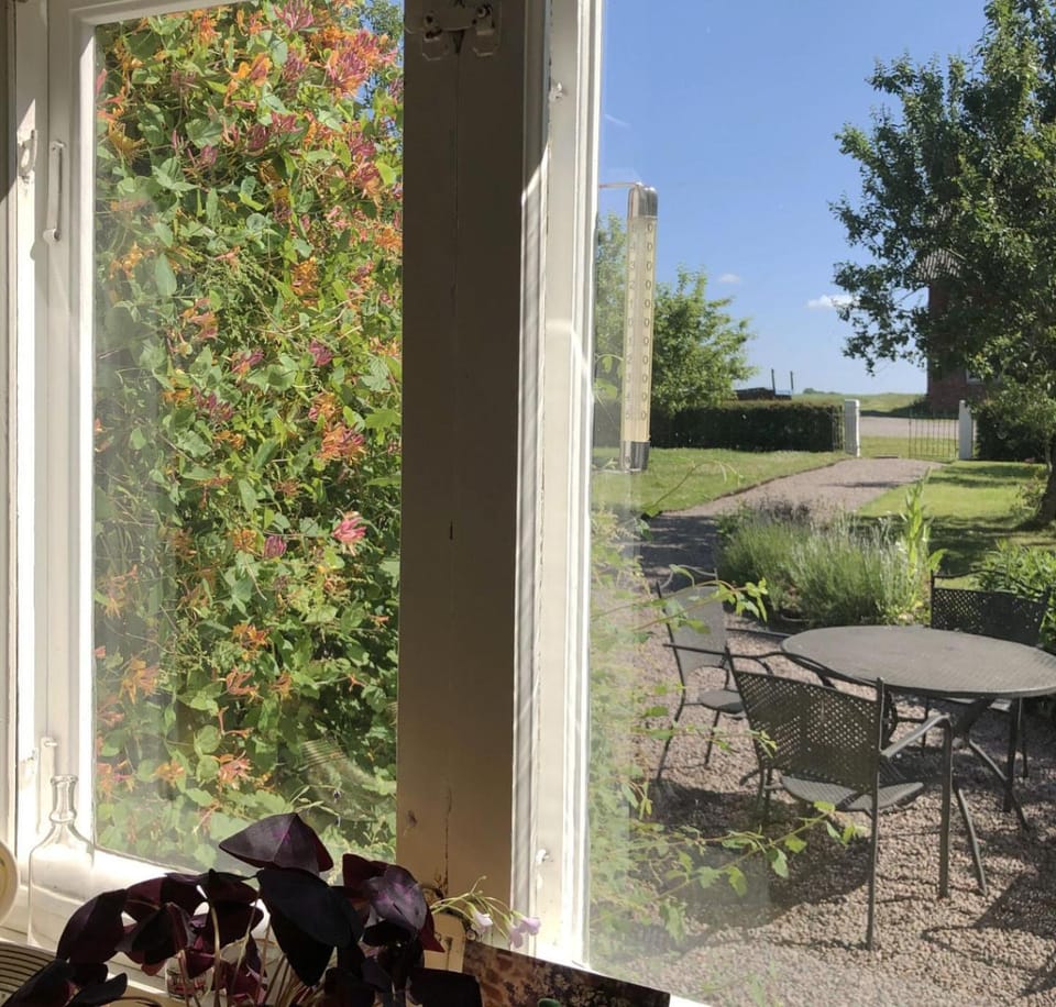 Patio, Garden, Garden view