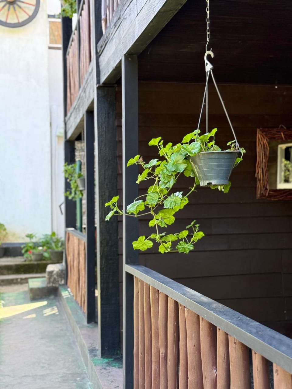 Garden view