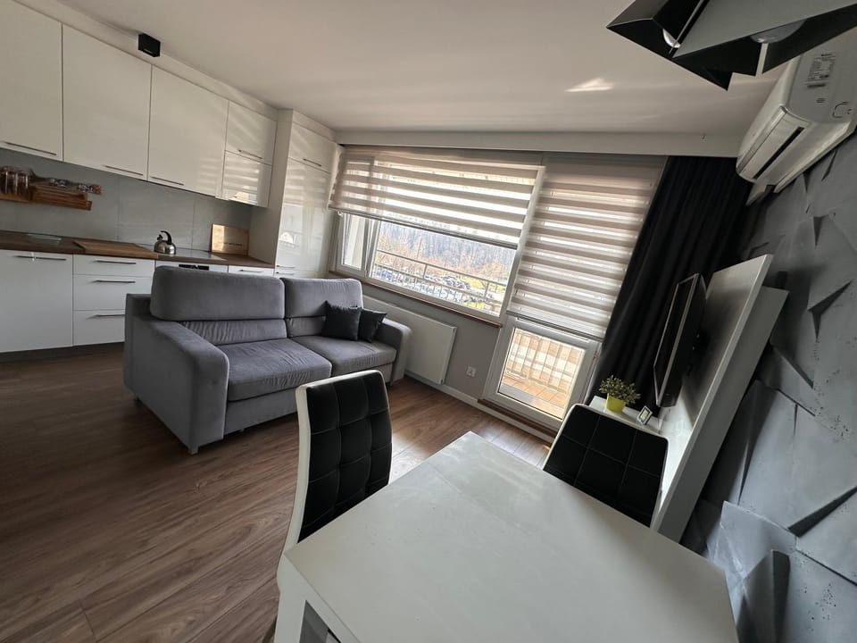 Bed, Kitchen or kitchenette, Living room, Photo of the whole room, oven