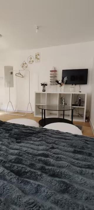 Charming studio with terrace in Roubaix Apartment in Flanders