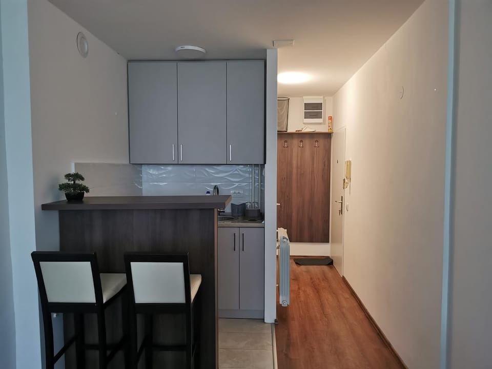 Andrej 62 Apartment in Belgrade