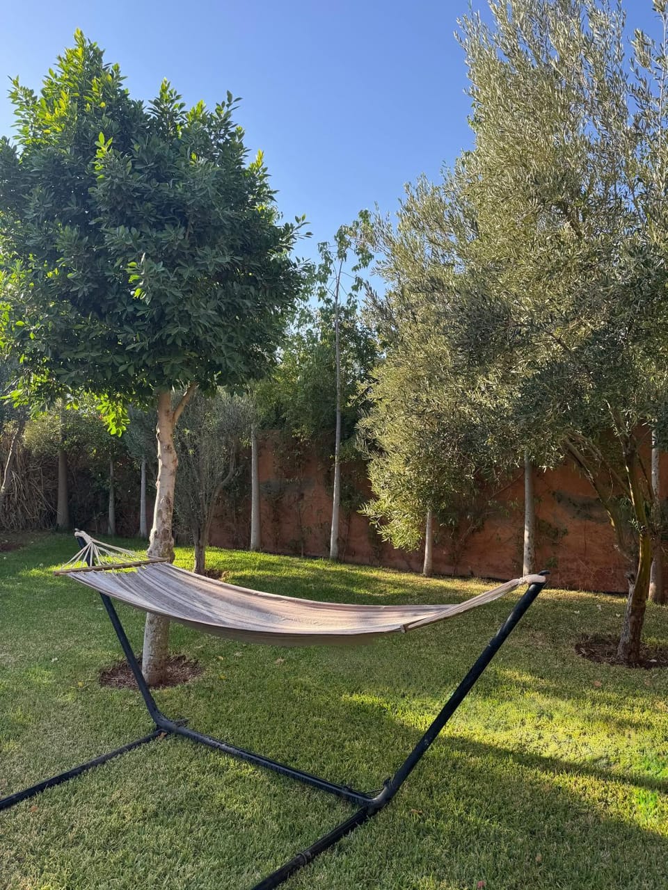 Garden, sunbed