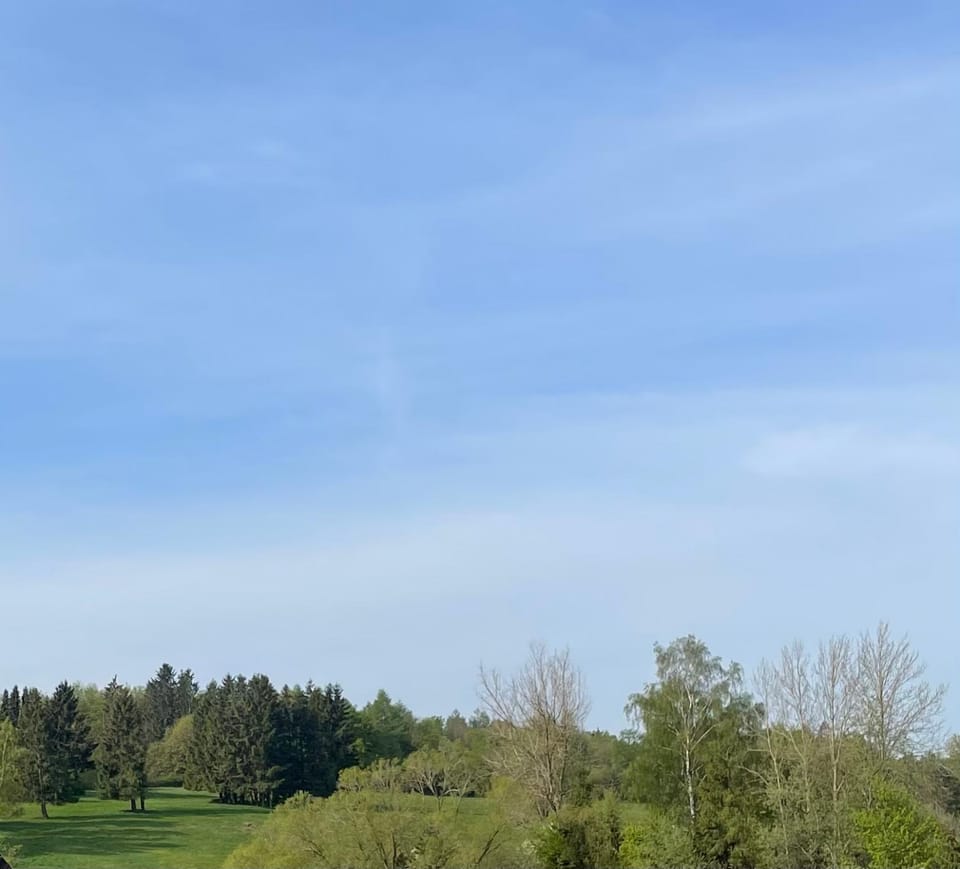 Natural landscape