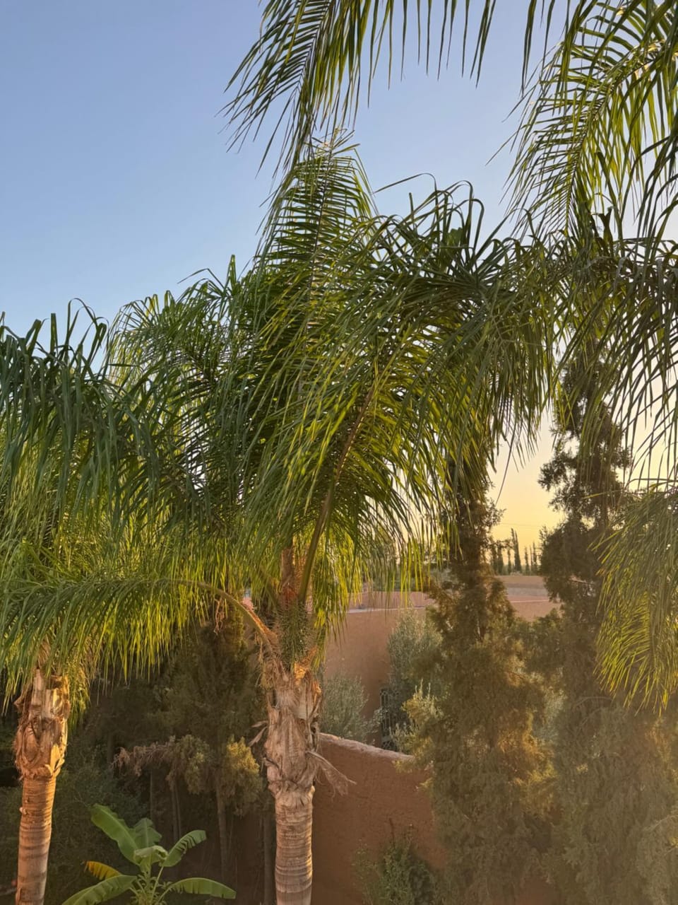 Villa Boho Villa in Marrakesh-Safi
