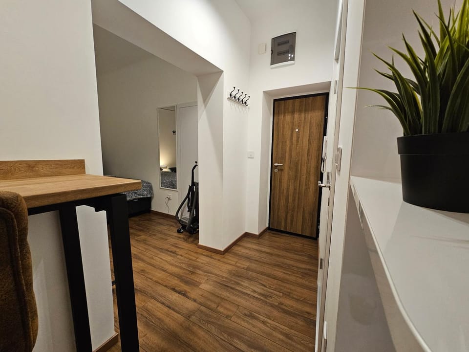 Studio 1920 Apartment in Belgrade